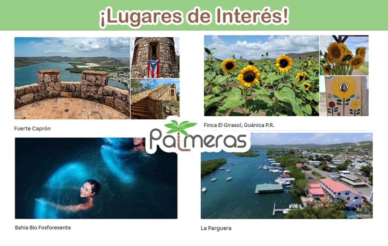 Palmeras Beach Apartments - Playa Santa Guánica Exterior foto